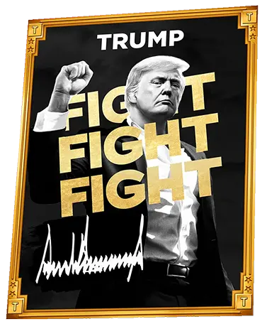 Trump Fight Meme